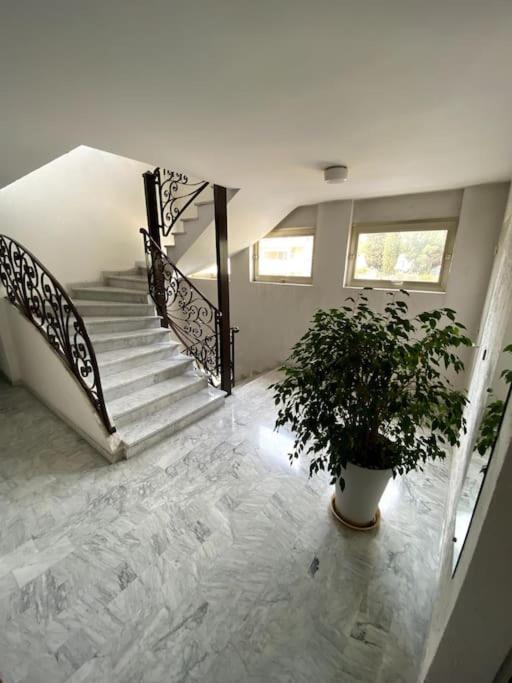 Logement Cosy, Situe Entre Ciel Et Mer Vence Exterior foto